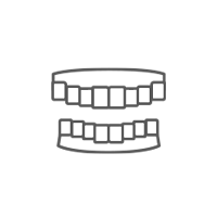 義歯.png